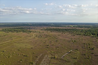 Aerial view of the Osterheide during the heath blossom in the Lüneburg Heath. Schneverdingen, Lower