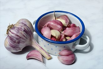 Fresh, red garlic cloves in pots, garlic (Allium cepa), France, Europe