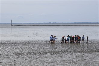 A group of pupils on a mudflat hike in the Wadden Sea National Park, low tide, Norddeich, Norden,