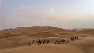 Sunset in the desert, camels and tourists, dunes, Erg Chebbi, Sahara, Merzouga, Morocco, Africa