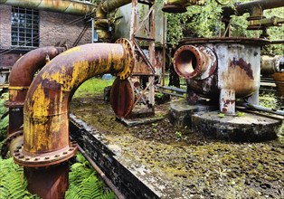 Architectural and industrial monument Hansa coking plant, industrial nature, lost place, Dortmumd,