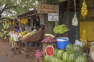 Roadside stalls selling fruit and vegetables on the outskirts of Ciudad del Este, Alto Parana,