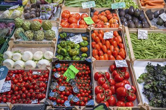 Market stall with a wide range of local and exotic vegetables in the Markthalle Stuttgart,