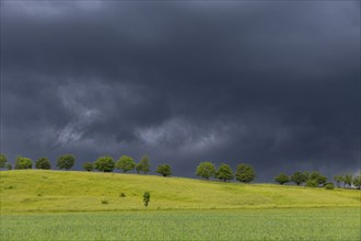 Heavy rain showers and thunderstorms over Possendorf in the Eastern Ore Mountains, Possendorf,