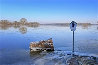 Flood, flood protection, flood plain, dike protection, dike on the Elbe, flooding, biotope, Elbe