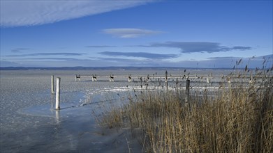 Frozen lake with ice in winter, Lake Neusiedl, Podersdorf am See, Burgenland, Austria, Europe