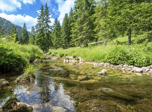 Landscape and nature around Bad Tölz, Bavaria, Germany, Europe