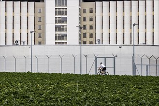 Stammheim Prison, JVA, exterior view of the maximum security prison with prison wall, Stuttgart,