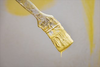 Brush with yellow paint in front of unfinished painted wall