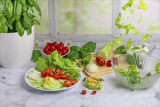 Fresh vegetables on board and plate, salad ingredients, cucumber peeled, tomatoes, lettuce, basil,