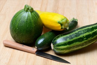 Various courgettes (Cucurbita pepo), courgette convar. giromontiina