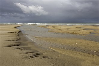 Tide pools on sand beach at low tide at Cap Blanc Nez, Pas-de-Calais, France, Europe