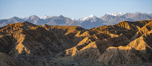 Landscape of eroded hills at sunrise, badlands, white mountain peaks of the Tian Shan Mountains in