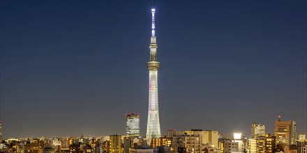 Tokyo SkyTree tower with the skyline skyscrapers panorama at night in Tokyo, Japan, Asia