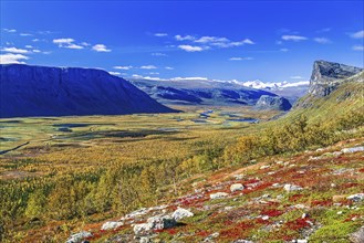 Scenic view at Rapa valley in Sarek national park in beautiful autumn colors at the north of