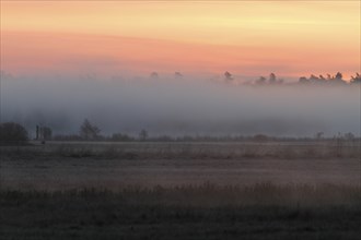 Foggy atmosphere over the meadows at sunrise on the Peene, Peene Valley River Landscape nature park