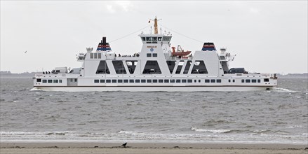 The ferry Frisia III, the largest car and passenger ferry in regular service to the East Frisian