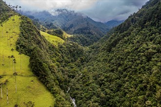 Aerial of the Cocora valley, Unesco site coffee cultural landscape, Salento, Colombia, South