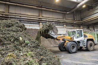 A wheel loader is used to move the biowaste delivered to the MVV biogas plant in Dresden, piling up