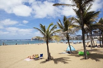 Playa de las Canteras beach, Las Palmas, Las Palmas province, Gran Canaria, Canary Islands, Spain,