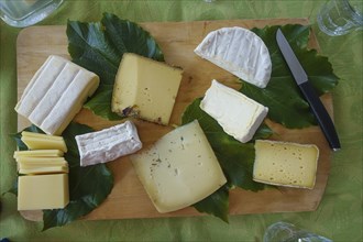 Cheese platter, various cheeses on wooden board, hard cheese, camembert, white mould cheese, goat