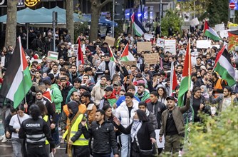 Rally of pro-Palestinian demonstrators. They demand an end to the oppression of the Palestinians