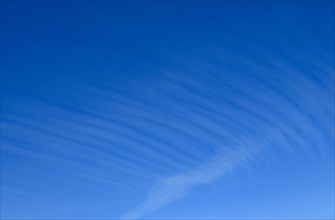 Veil clouds Cirrostratus Ice clouds, above blue sky