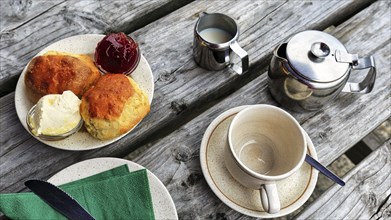 Cornish cream tea in the garden café, speciality, typical afternoon meal, scones, clotted cream,