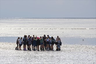 A group of pupils on a mudflat hike in the Wadden Sea National Park, low tide, Norddeich, Norden,