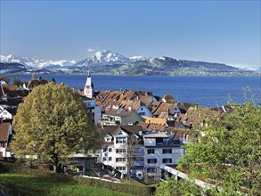 View from the rose garden at the Guggi to the Zytturm, church, old town, Pilatus in the background,