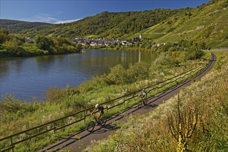 Cyclists on the Moselle cycle path with a view of the village of Bremm, Rhineland-Palatinate,