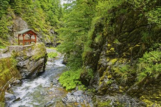 Landscape at the Jiet stream, a mountain stream in the Transylvanian Alps in the southern