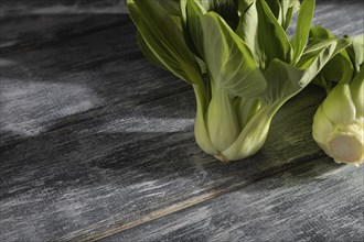 Fresh green bok choy or pac choi chinese cabbage on a gray wooden background. Hard light, contrast.