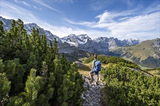 Mountaineer on a hiking trail with mountain pines, mountain panorama with rocky steep peaks, view