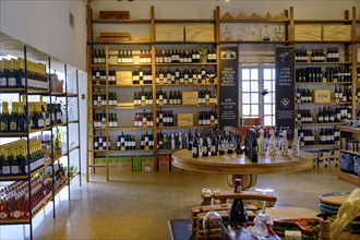 Wine shop, wine shop, Spier Wine Farm, Stellenbosch, Western Cape, South Africa, Africa