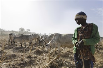 Herdsman in the field in Maraban Dare community, Plateau state, 07/02/2024