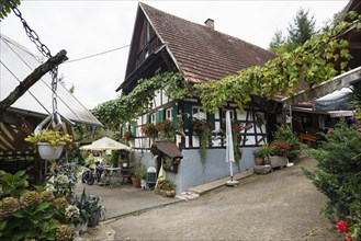 Inn, Mühlenweg, Ottenhöfen, Ortenau, Black Forest, Baden-Württemberg, Germany, Europe