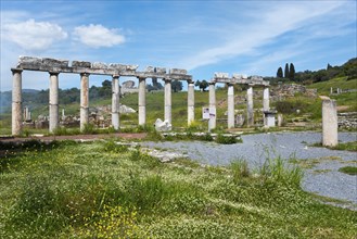 Ancient column ruins surrounded by wild flowers under a blue sky, Messene, ancient Greek polis,