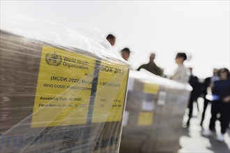 Humanitarian aid supplies from the World Health Organisation (WHO) at the Kerem Shalom border