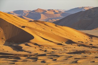 Sand dunes in the Rub Al Khali desert, the world's largest sand desert, Empty Quarter, Oman, Asia