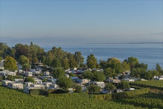 Campsite, caravan, blue sky, vineyards, Hagnau am Lake Constance, Baden-Württemberg, Germany,