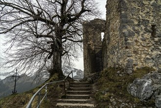 Falkenstein castle ruins, Pronten, OstallgÃ¤u, AllgÃ¤u, Bavaria, Germany, Europe