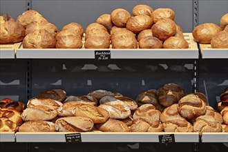 Sales shelf Baked goods Bread