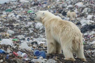 Plastic waste pollution, trash damages environment and ecology balance on earth, AI generated