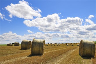 Straw bales on a harvested grain field in Bavaria, Germany, Europe