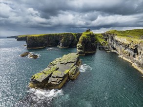 Aerial view of the ruined Castle of Old Wick surrounded by rugged cliffs on the North Sea coast,