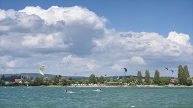 Kitesurfing on the shore of Reichenau Island, Constance County, Baden-Württemberg, Germany, Europe