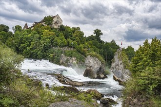 The Rhine Falls near Schaffhausen with Laufen Castle, Canton Schaffhausen, Switzerland, Europe