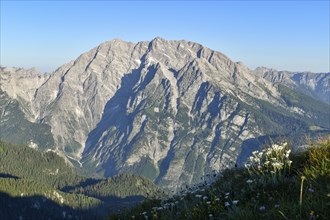 The Watzmann with its east face in the morning light, Berchtesgaden National Park, Bavaria,