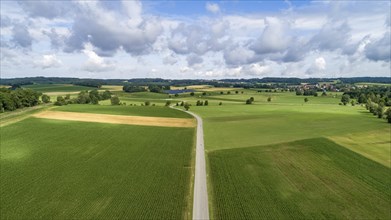 Country road crossing typical Bavarian agricultural landscape, Bavaria, Germany, Europe